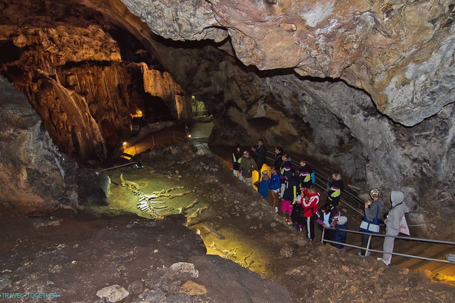 The main hall of the cave and bison skeletons