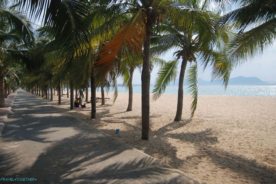 Palm Alley in the central part of the beach