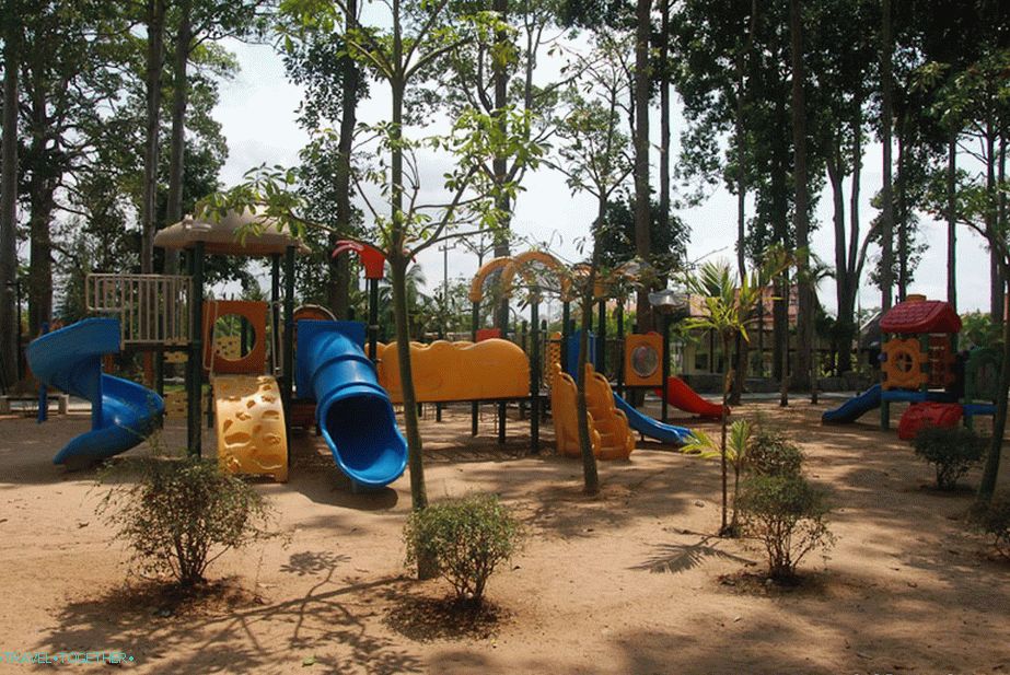 Playground in the beach park