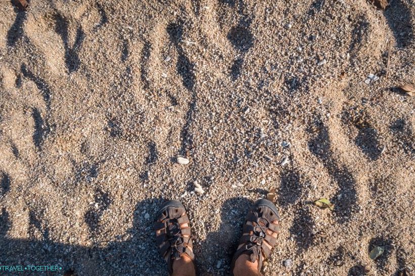 The sand, to put it mildly, is not very.