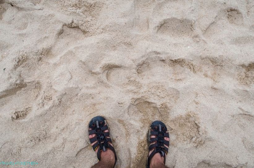 Mae Haad Beach - Pangan's Business Card