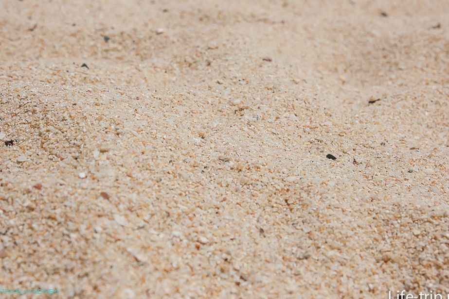 plyazh-w-retreat-samui-09