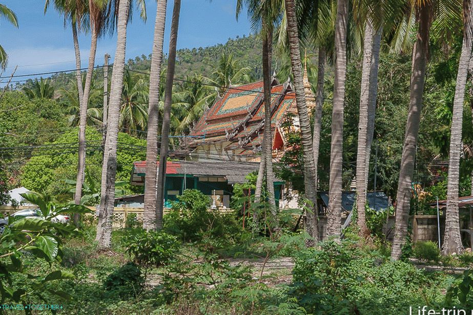 plyazh-taling-ngam-12