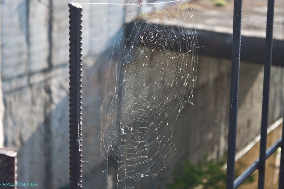 New resident of the village Gidrostroya