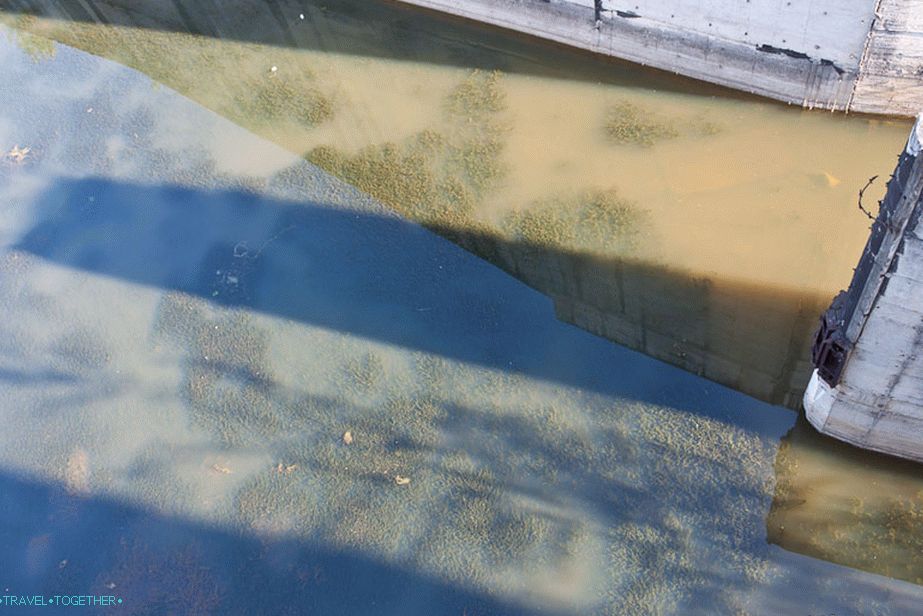 The water below is all seaweed