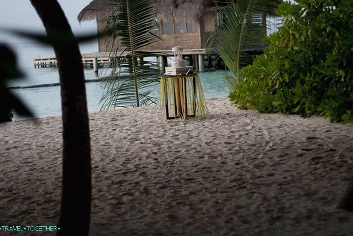 Maldives. Wedding Cake.