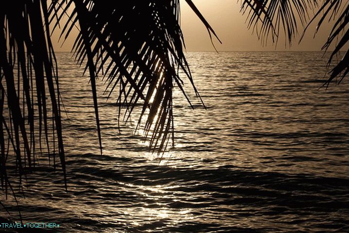 Maldives. Kuromati Island.