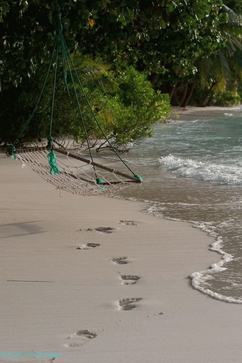 Beach. Kuramati Island.