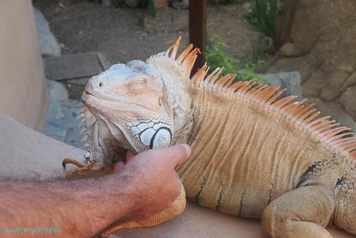 Vacation for children, Aquaworld terrarium in Crete