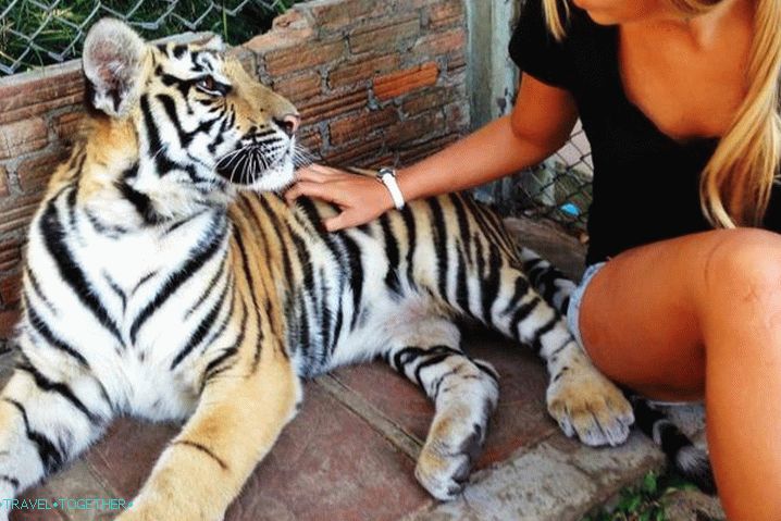 Phuket Zoo