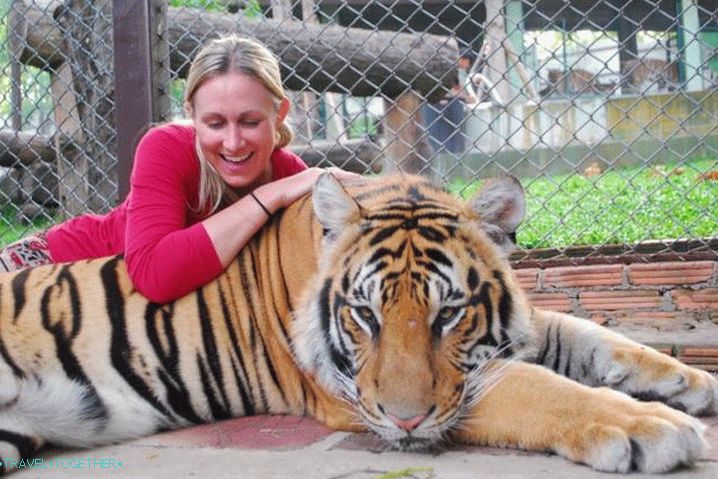 Phuket, Kingdom of Tigers Park