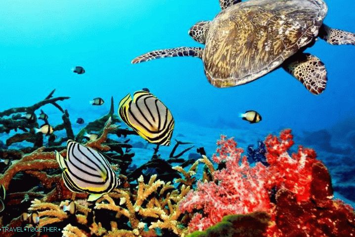 Weather in Phuket in November - Water area of ​​Sirinat Park