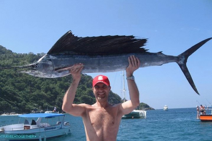 Things to do, Sea Fishing, Marlin Catch