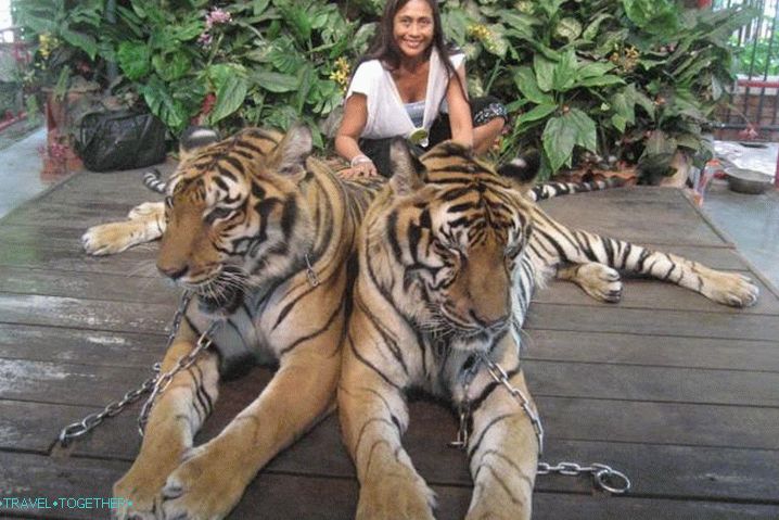 Phuket Zoo