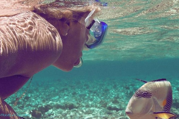Taba, Snorkeling