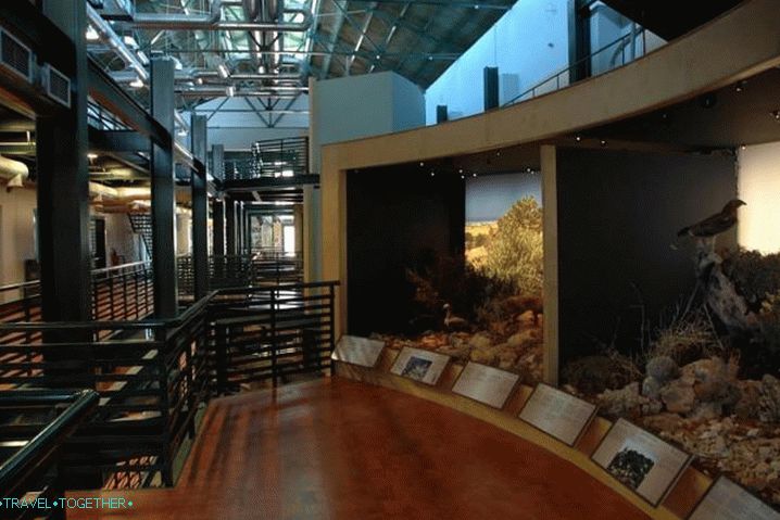 Weather in Crete in April - Heraklion Archaeological Museum