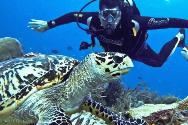 Weather in Santorini in July - Diving in Santonini