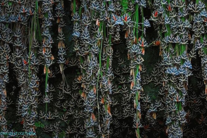 Rhodes, Valley of the Butterflies in Rhodes