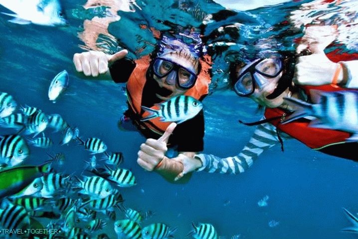 Samui Diving in Samui