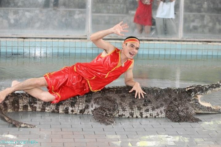 Pattaya for children, Crocodile farm