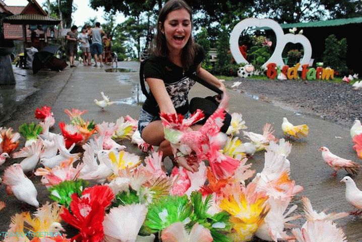 Samui for children, Paradise Park