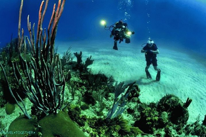 What to do in Side in August, Diving in Side