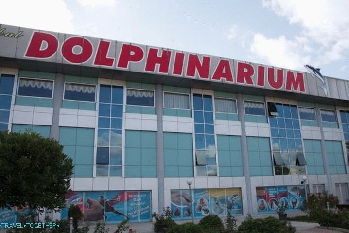 Istanbul for children, the Dolphinarium in Istanbul