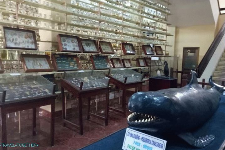 Nha Trang, Museum of Oceanography