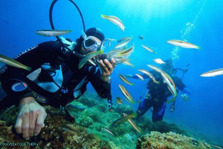 Vietnam Phu Quoc Diving