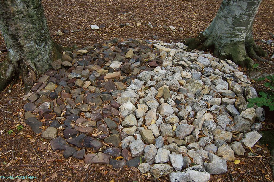 And also laid out a circle of Yin and Yang