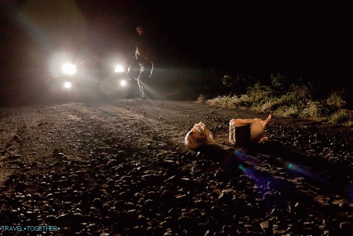 Brave fugitives are the fallen out bags of food.