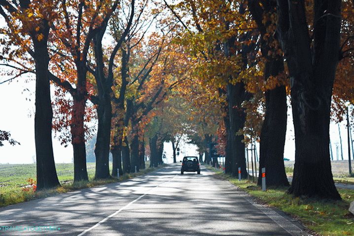 Road-alley is a common phenomenon in Europe.