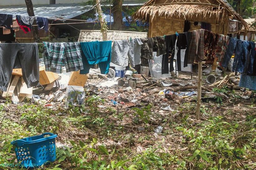 Some backyards are unfriendly