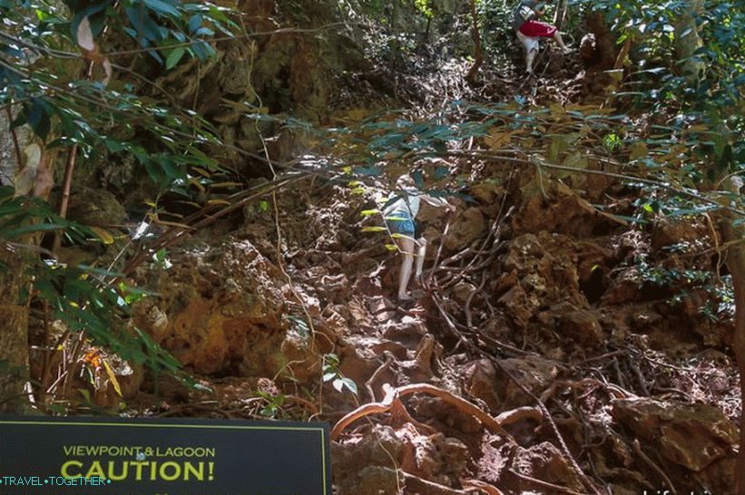 Let on the lookout for an amateur