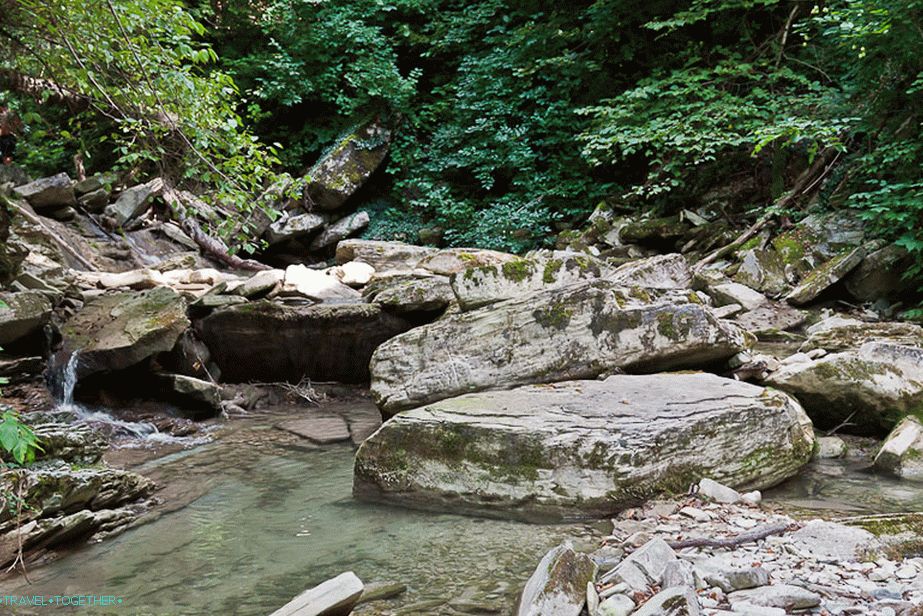 In the origins of Jean