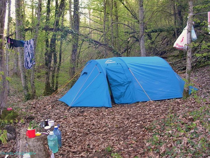 Village Revival. Camp.