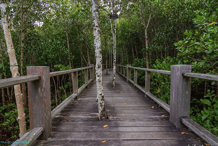 The scaffolds are maximally inscribed in the landscape of Pranaburi Park