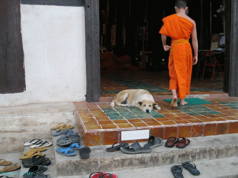 Slaps at the entrance to the temple