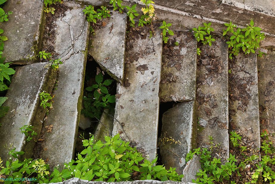 Stairs down from the manor to the Oka