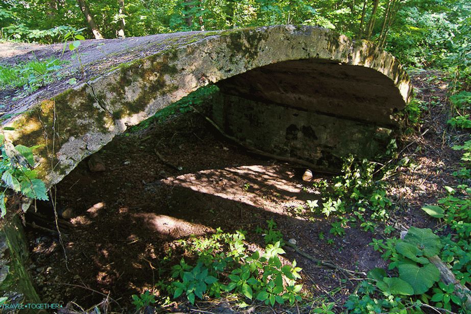 The bridge next to the marshy pond