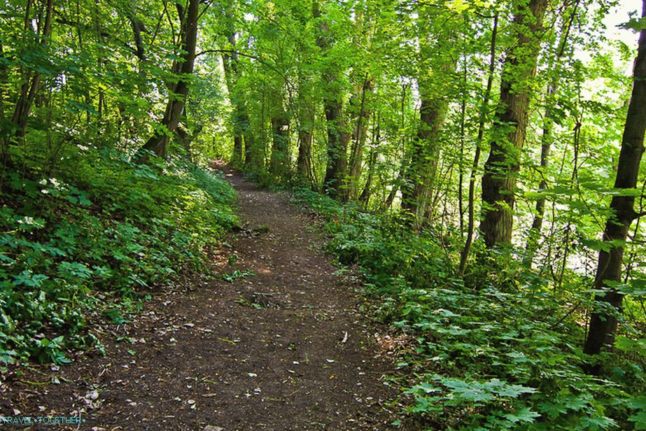 Linden Alley near the manor