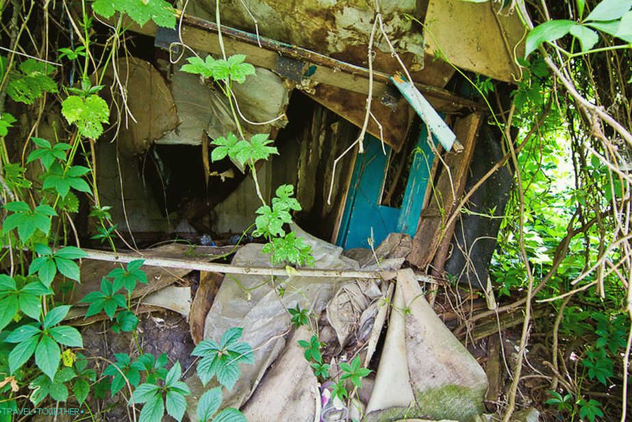 It turns out to be some kind of overgrown and destroyed dacha structure
