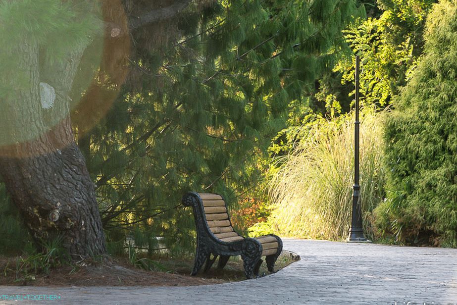 Park Southern Culture