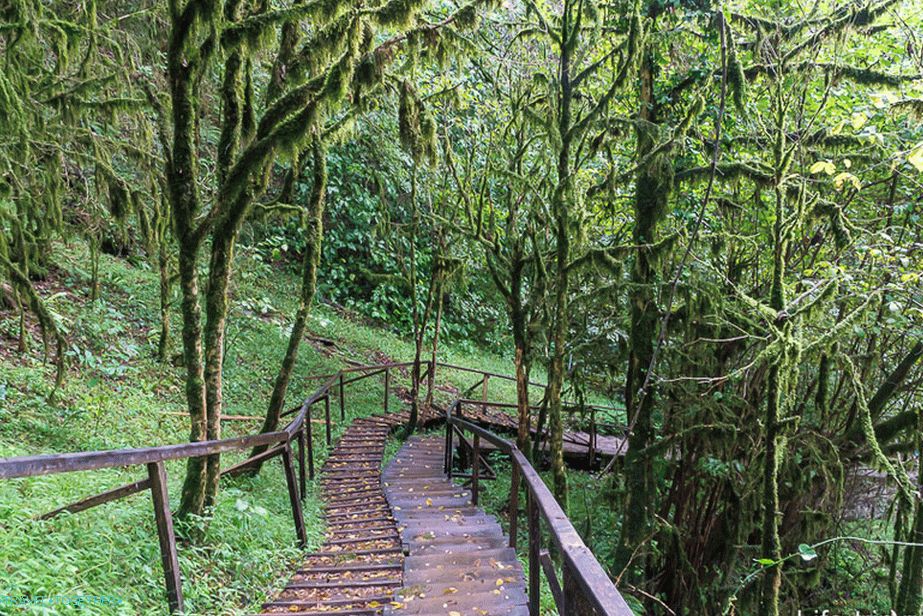 Fairy-tale forest around 33 waterfalls