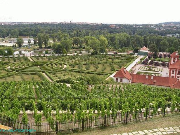 Vineyards of the Troy Castle