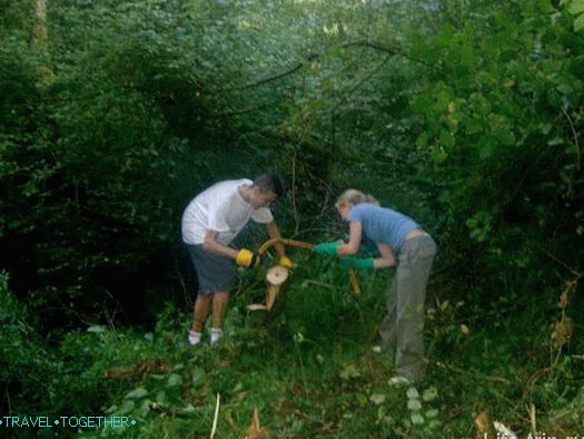 Volunteer work - the restoration of the trail in the local forest.