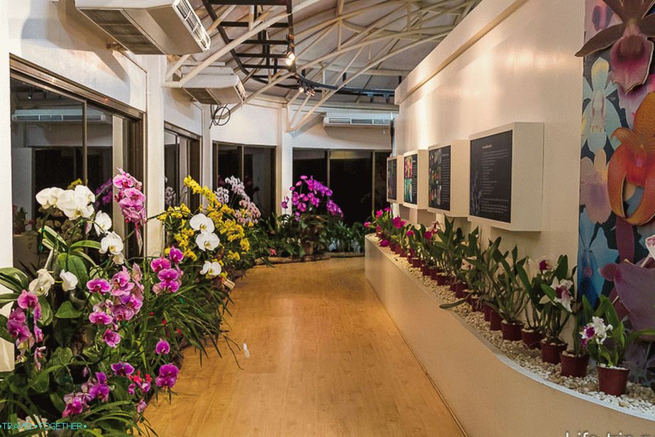 Pavilion with orchids