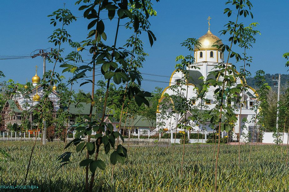 It is so strange to see an Orthodox church among the tropics