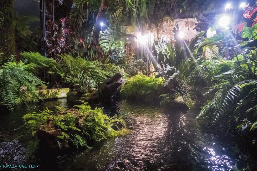 Gardens by the Bay in Singapore - the main attraction