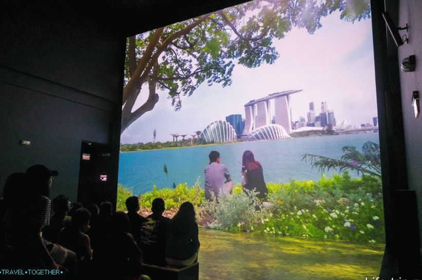 Gardens by the Bay in Singapore - the main attraction